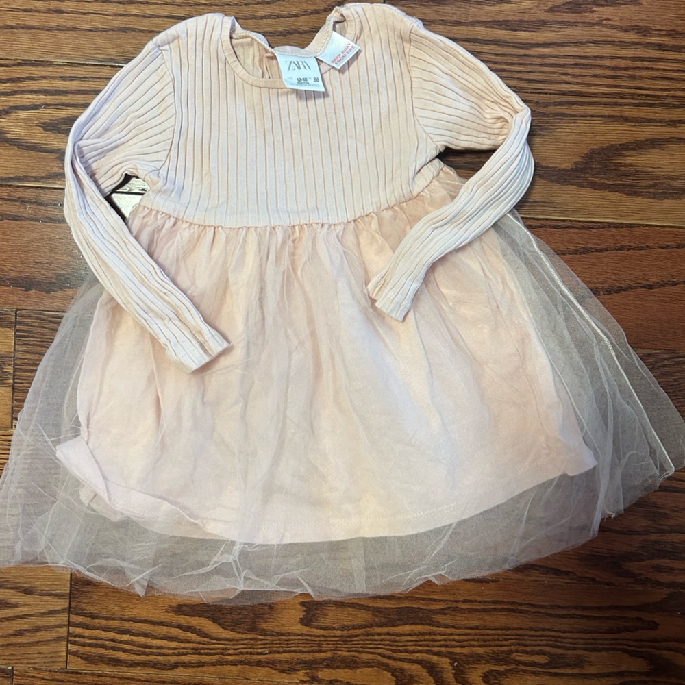 Zara Blush Long Sleeve Tulle Dress
